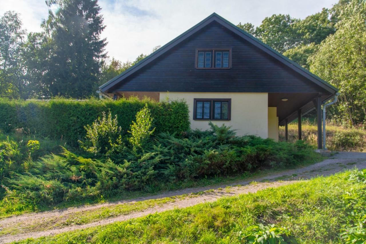 Elsa Chalupa Kunvald Luaran gambar
